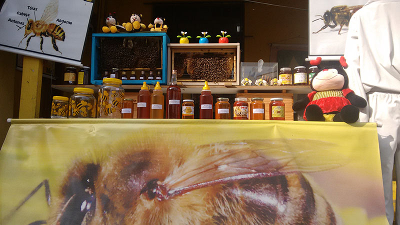 Produtos SOS Abelha Toninho das Abelhas Remoção de Colméias e Ninhos