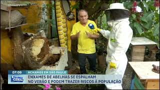 SOS Abelhas é destaque no Balanço Geral, da RECORD